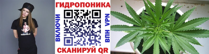 Гашиш Усмань
