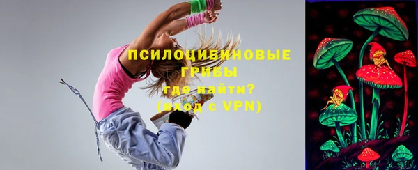 спайс Арсеньев