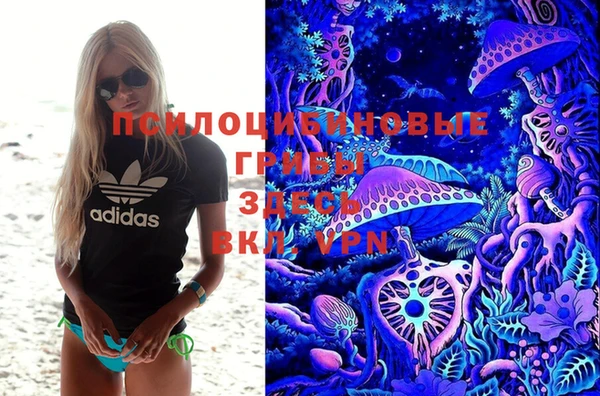 спайс Арсеньев