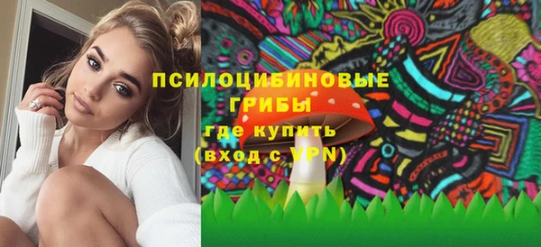 спайс Арсеньев