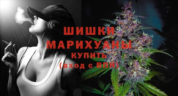 ПСИЛОЦИБИНОВЫЕ ГРИБЫ Щигры